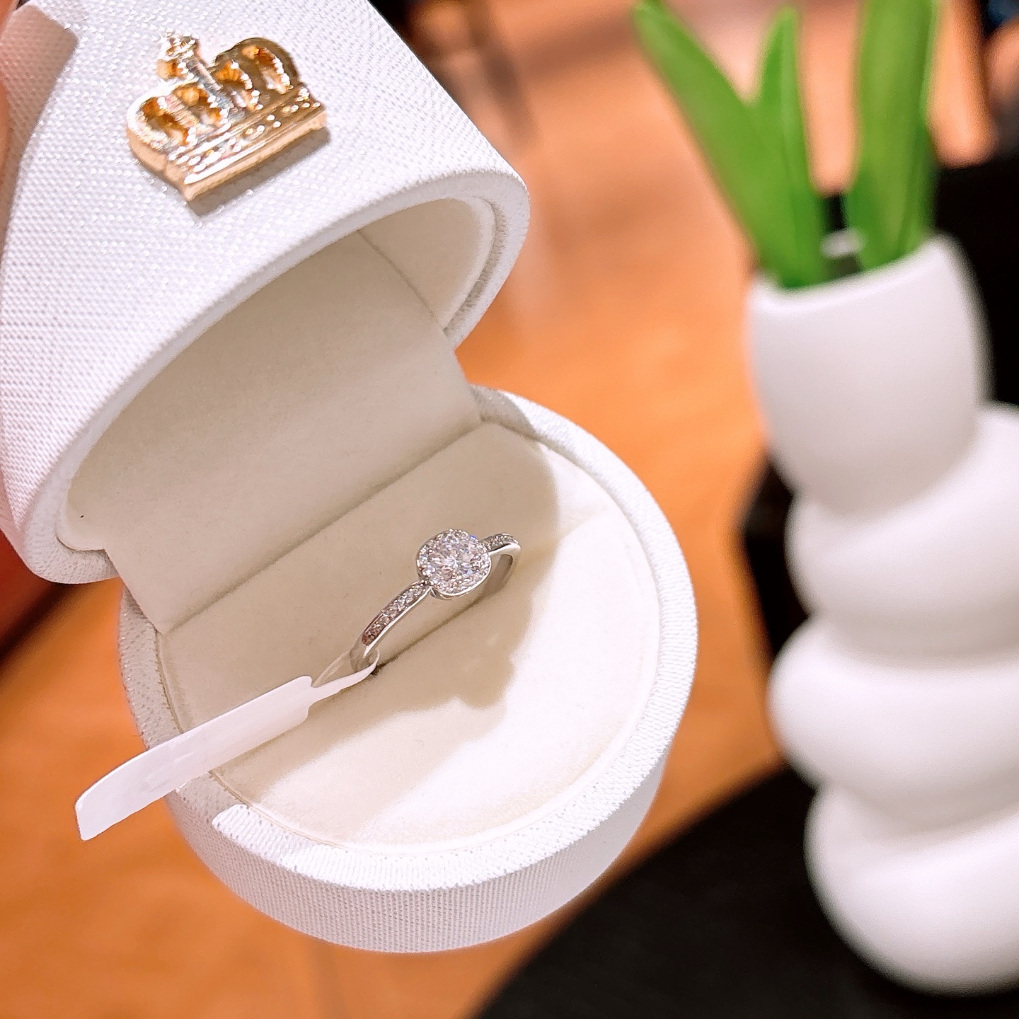 Hypoallergenic Silver Ring Intellectual Workplace Gold