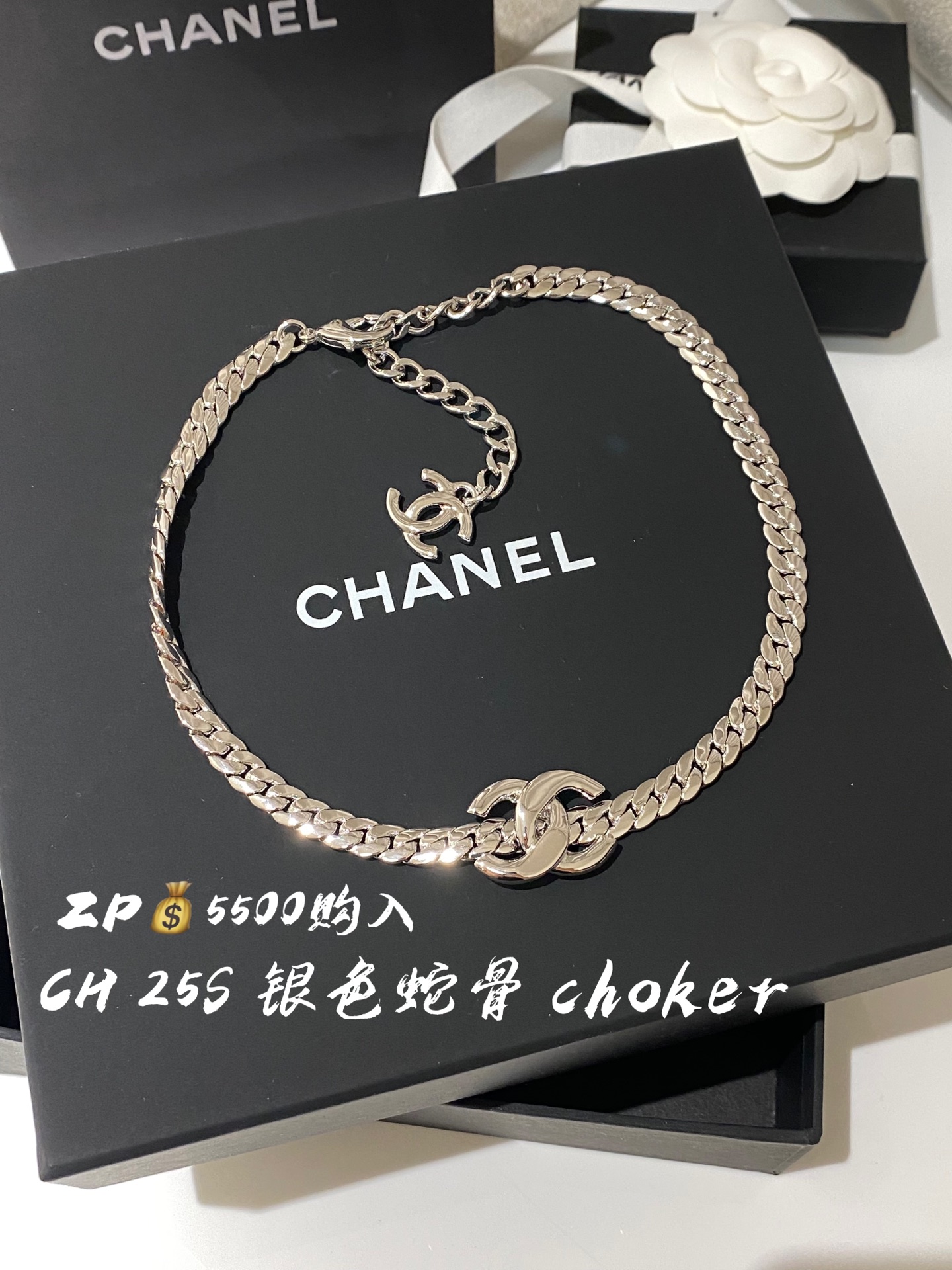 NO:633020,88220.CH 25S silver snake bone metal choker purchased from ZP, Cardia high-end jewelry1986090988220.CH 25S 银色 蛇骨 金属 choker ZP购入,,卡迪亚高端饰品,Jewelry