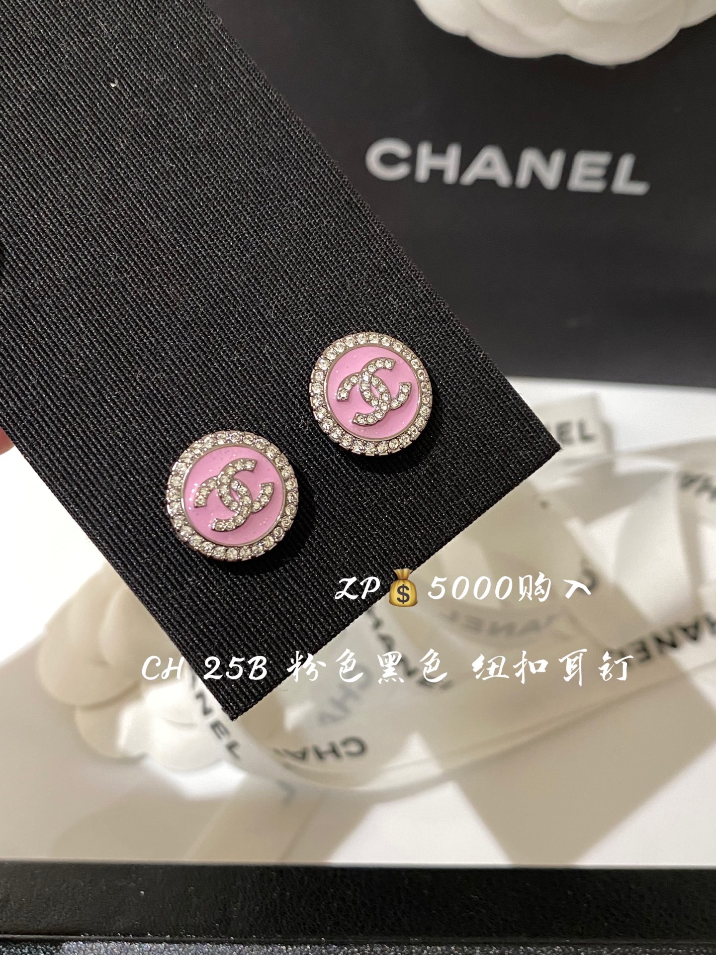 CH 25B rosa + negro, pendientes de botón redondo, ZP