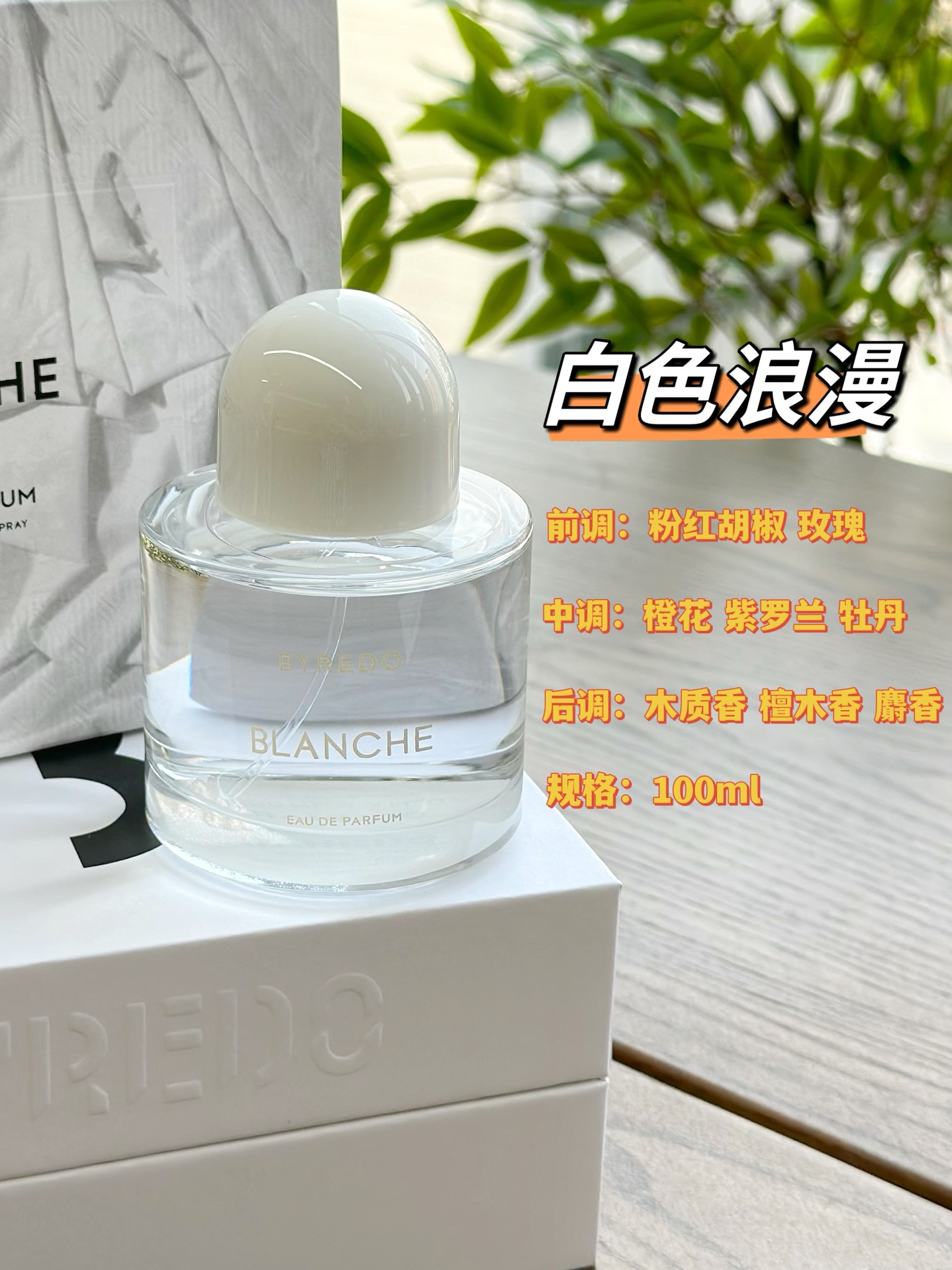 细节组图ANCHE 无疑是最能代表 RO品牌的一款香水，是阳光下晾晒的那件肥皂洗过的白T，是用月光阴干的白色亚麻床单，织物与皮肤的触感，如果他们有味道，那就应该是ANCHE。