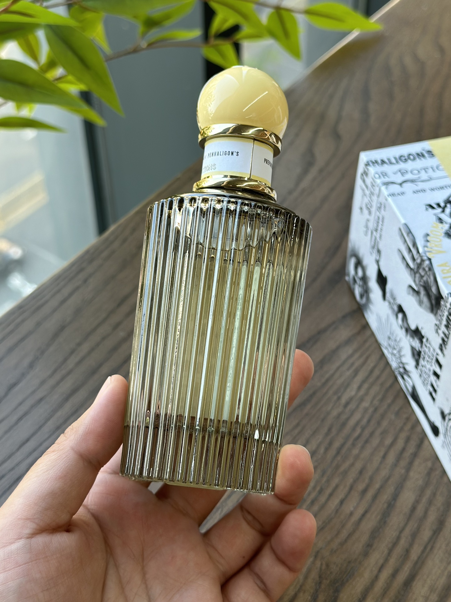 Penhaligon's 初醒桂香香水 5