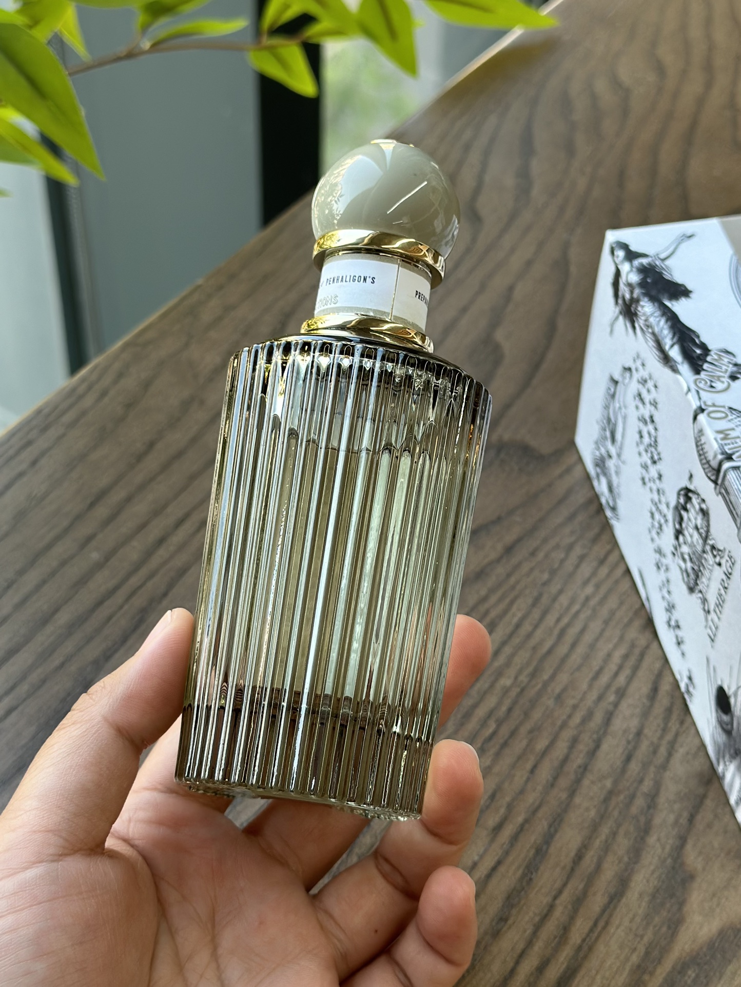MiniCost Perfume 5