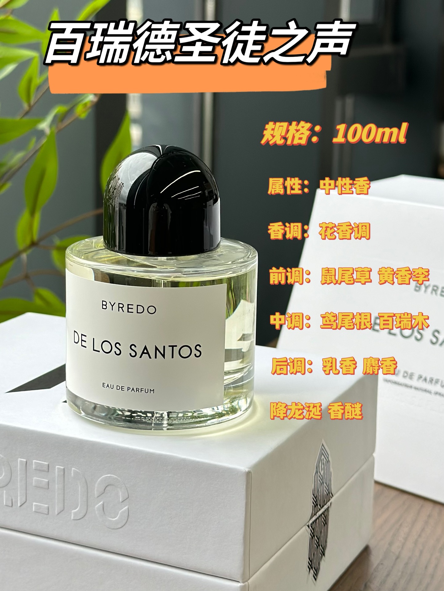 Perfume