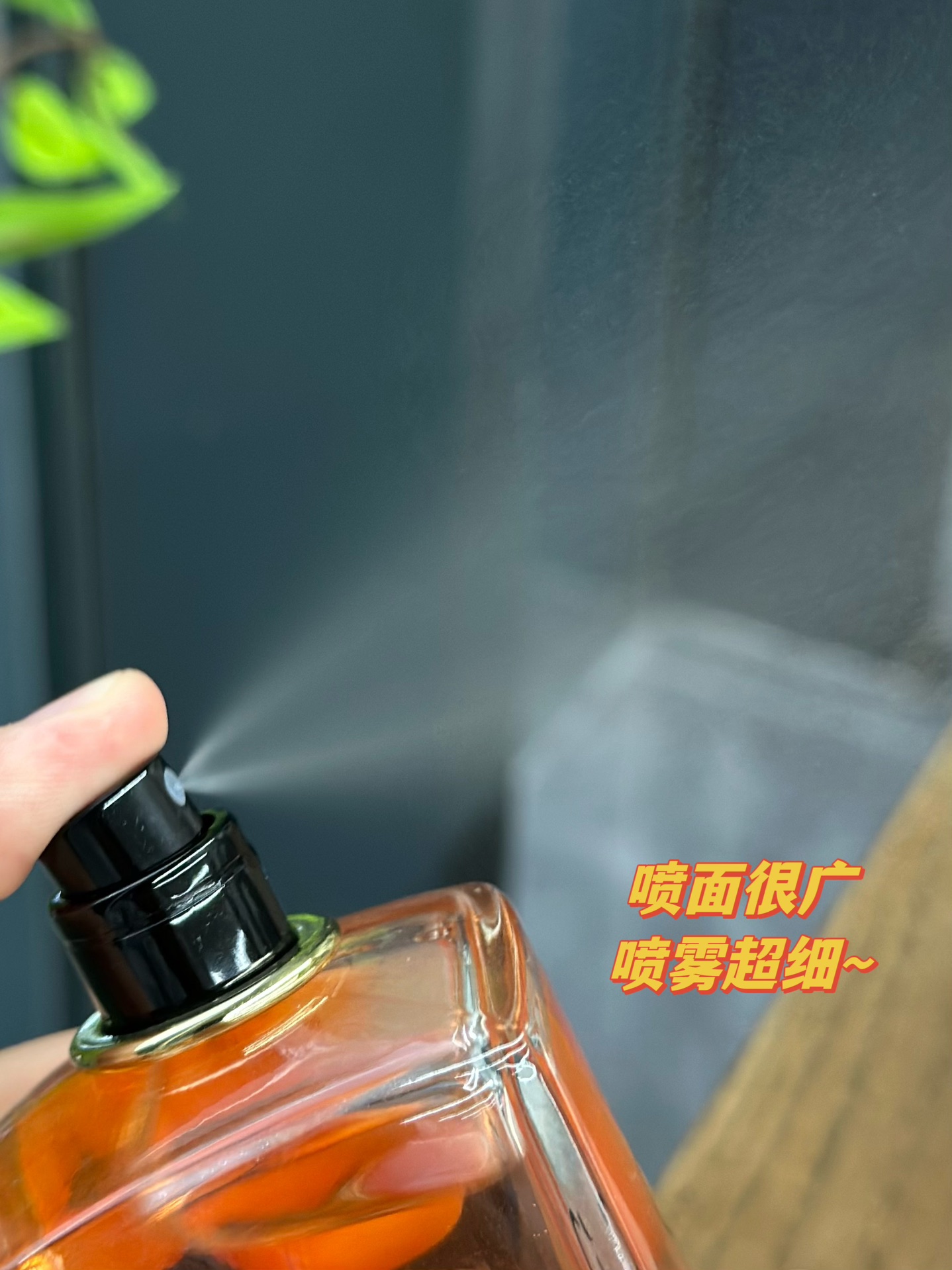 55💰原单品质
这款挚爱淡香水，它的话梅味让你和你的气场整个氛围非常优雅～而且它的扩散非常强，毫不夸张的说就是:全世界都被你温柔的笼罩在这甜美、好闻的香水光环里🪄

走路都可以自带光环！传说中的好闻奶油话梅，因为好闻，会让路过你的人都说是很香、很好闻的话梅味～简直勾人！广藿香和木质香一起那迷人的香。💃性感而又魅力无可抵挡，知性的优雅，女人味十足~