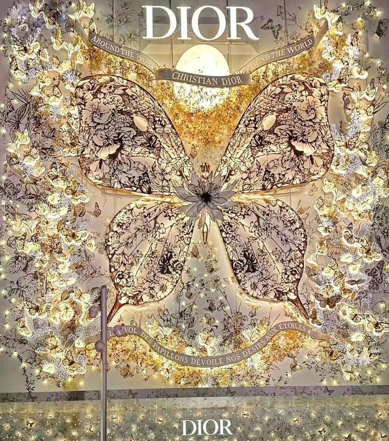 迪奥 Dior 传世高定珠宝耳环项链戒指首饰 #6736358D 2