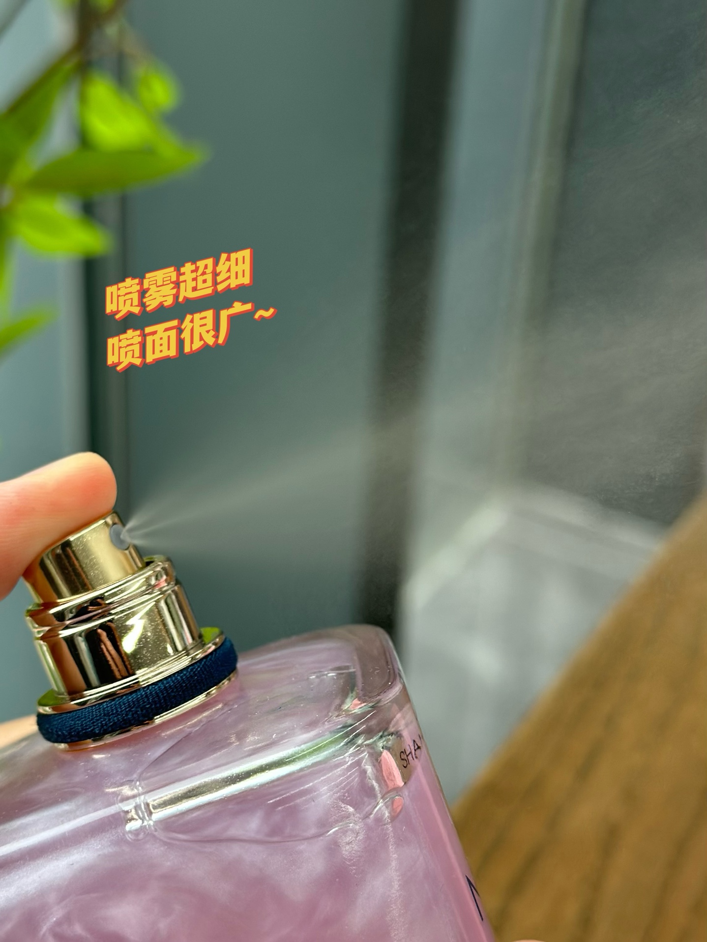 65💰原单品质
✨香水外表也精准击中了女孩儿们的心简洁流畅的瓶身与梦幻的粉色液体看起来就如果冻一般可爱诱人。宝蓝色的原石瓶盖，透过光散发出神秘的光芒呼应颈部的蓝色颈环满满的高定质感💕