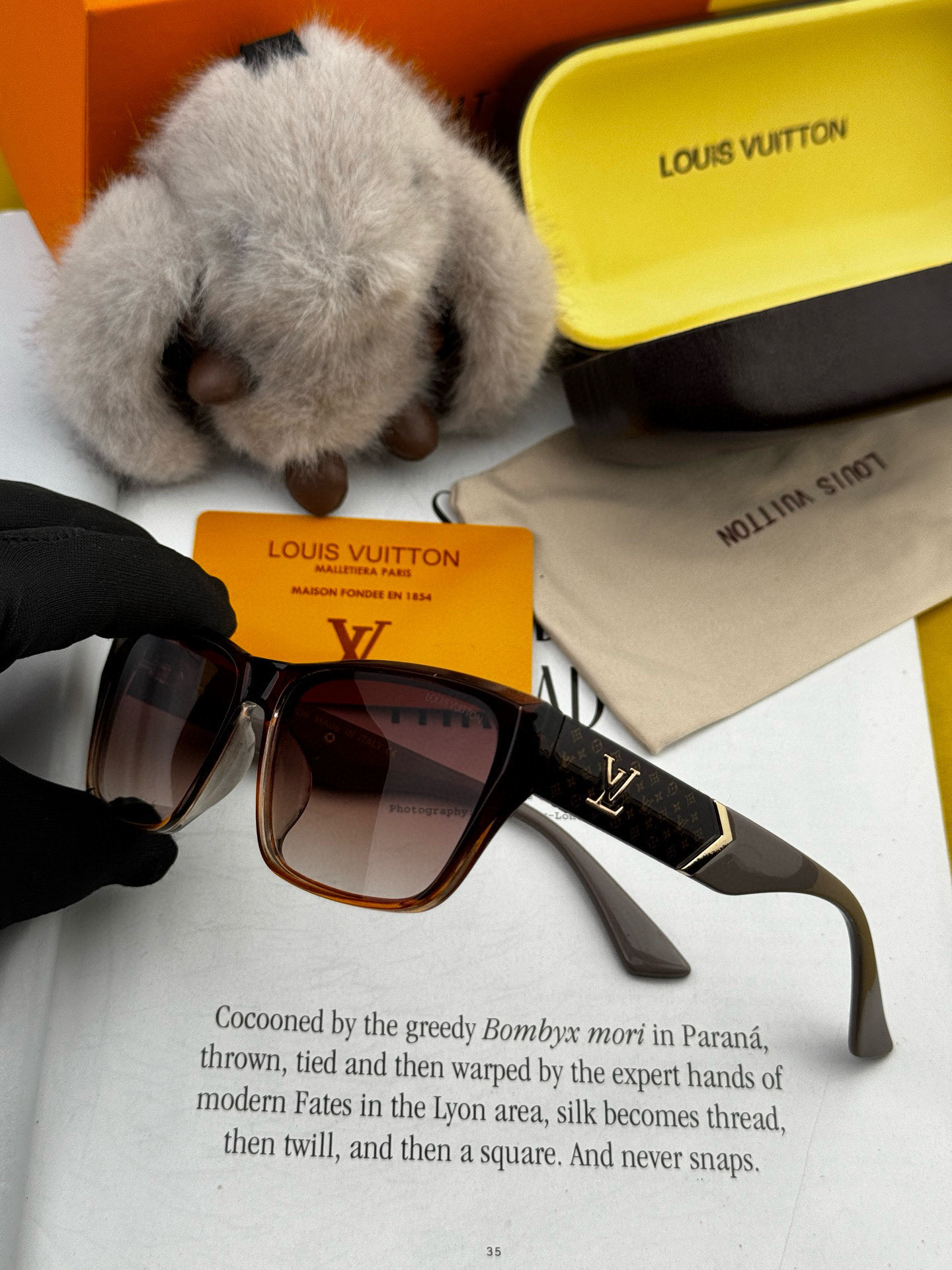 P195, LV 2025, NEW SUNGLASSES, NEW SUNGLASSES. L9550 - 图片 5