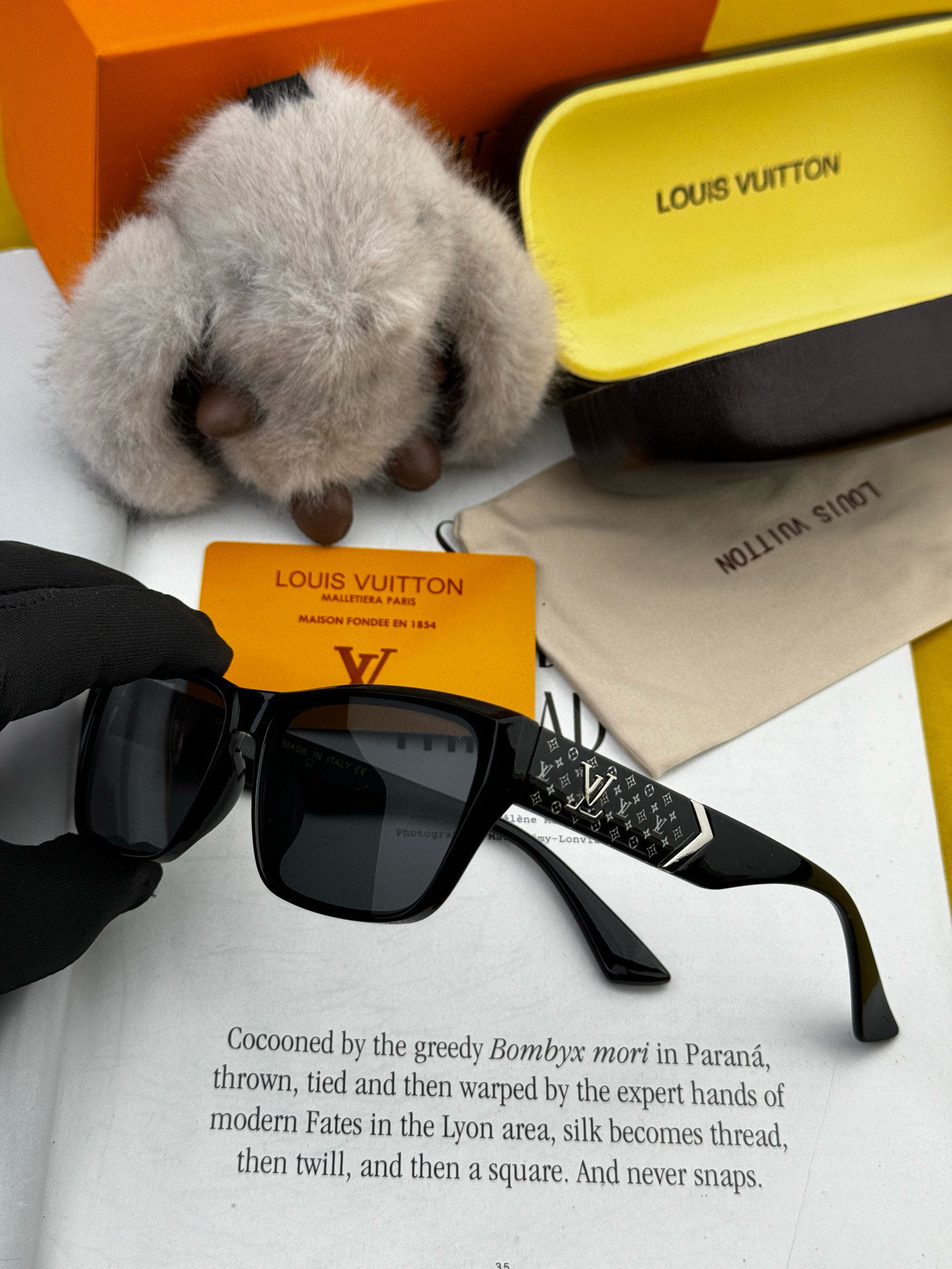 P195, LV 2025, NEW SUNGLASSES, NEW SUNGLASSES. L9550 - 图片 6