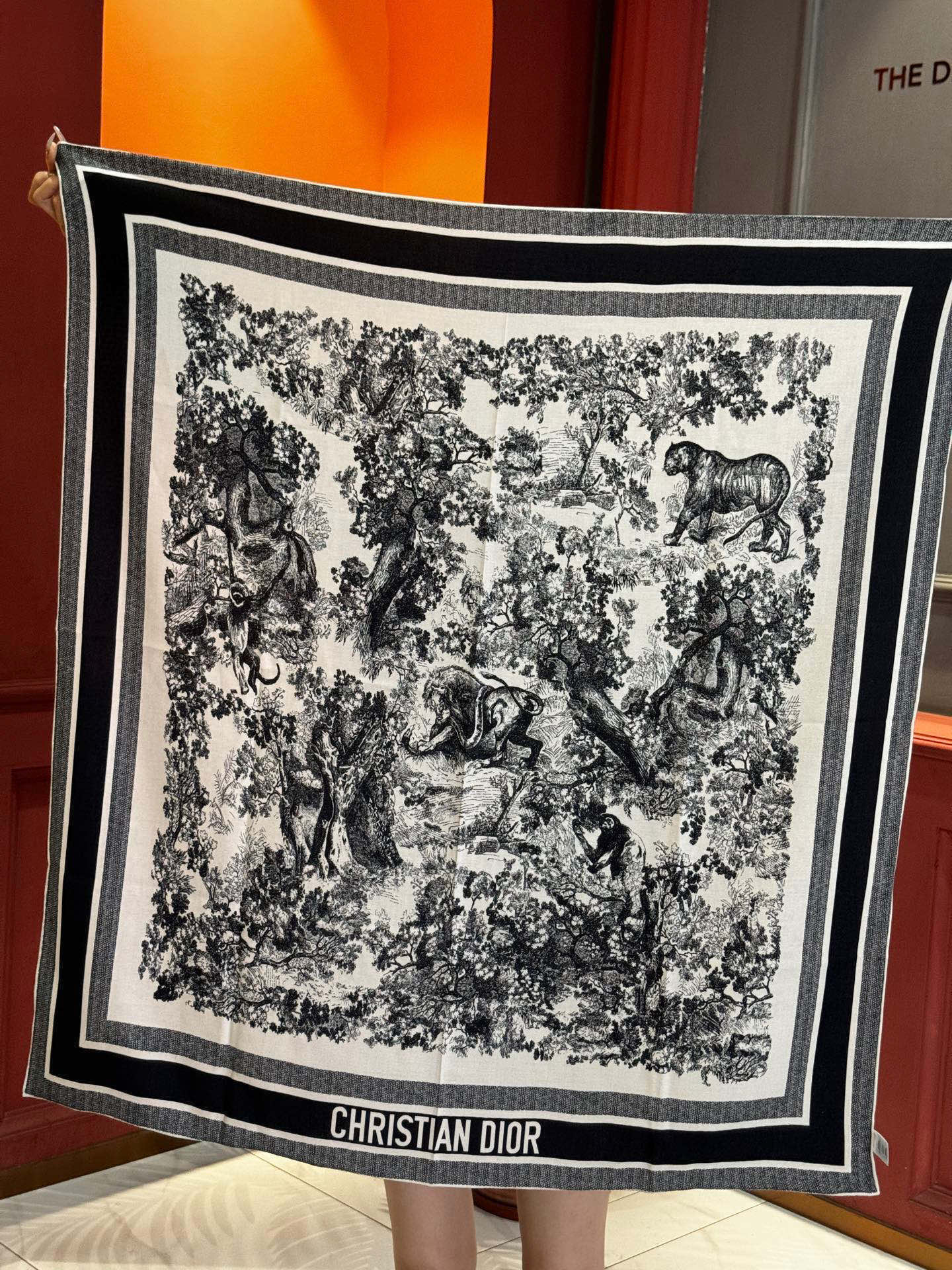 上新❤️ 𝐃𝐈𝐎𝐑 2025早春新款 《茹伊丛手绘方巾》size：110x110 cm 【双面同色丝绒方