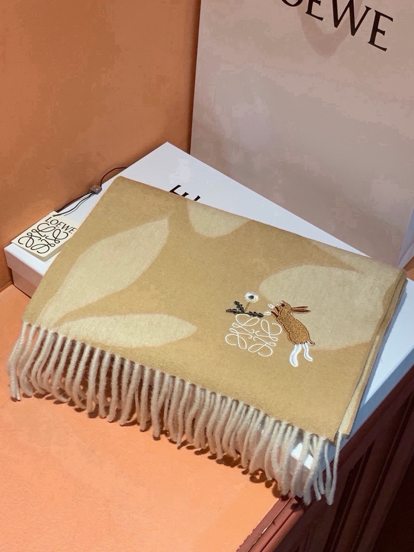 🆕   爱马仕新款 这款围巾采用细腻的撞色提花编织，呈现杰夫·麦克菲里奇（Geoff McFetridge）设计的Ent