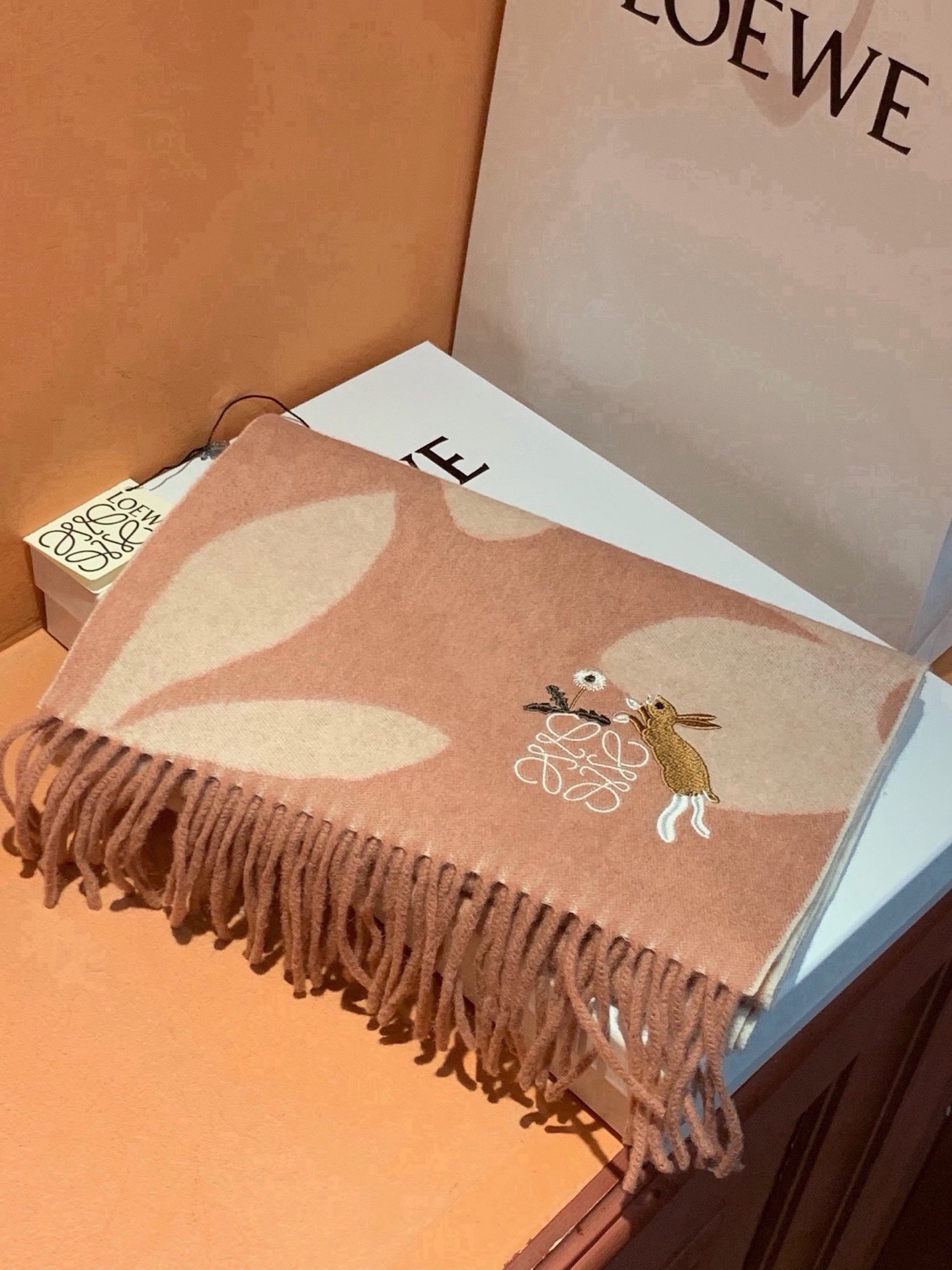 🆕   爱马仕新款 这款围巾采用细腻的撞色提花编织，呈现杰夫·麦克菲里奇（Geoff McFetridge）设计的Ent