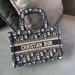 Dior Book Tote Tote Bags Blue Mini