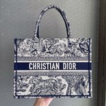 Luxury Shop
 Dior Book Tote Tote Bags Blue