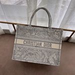 Dior Book Tote Tote Bags Grey Embroidery