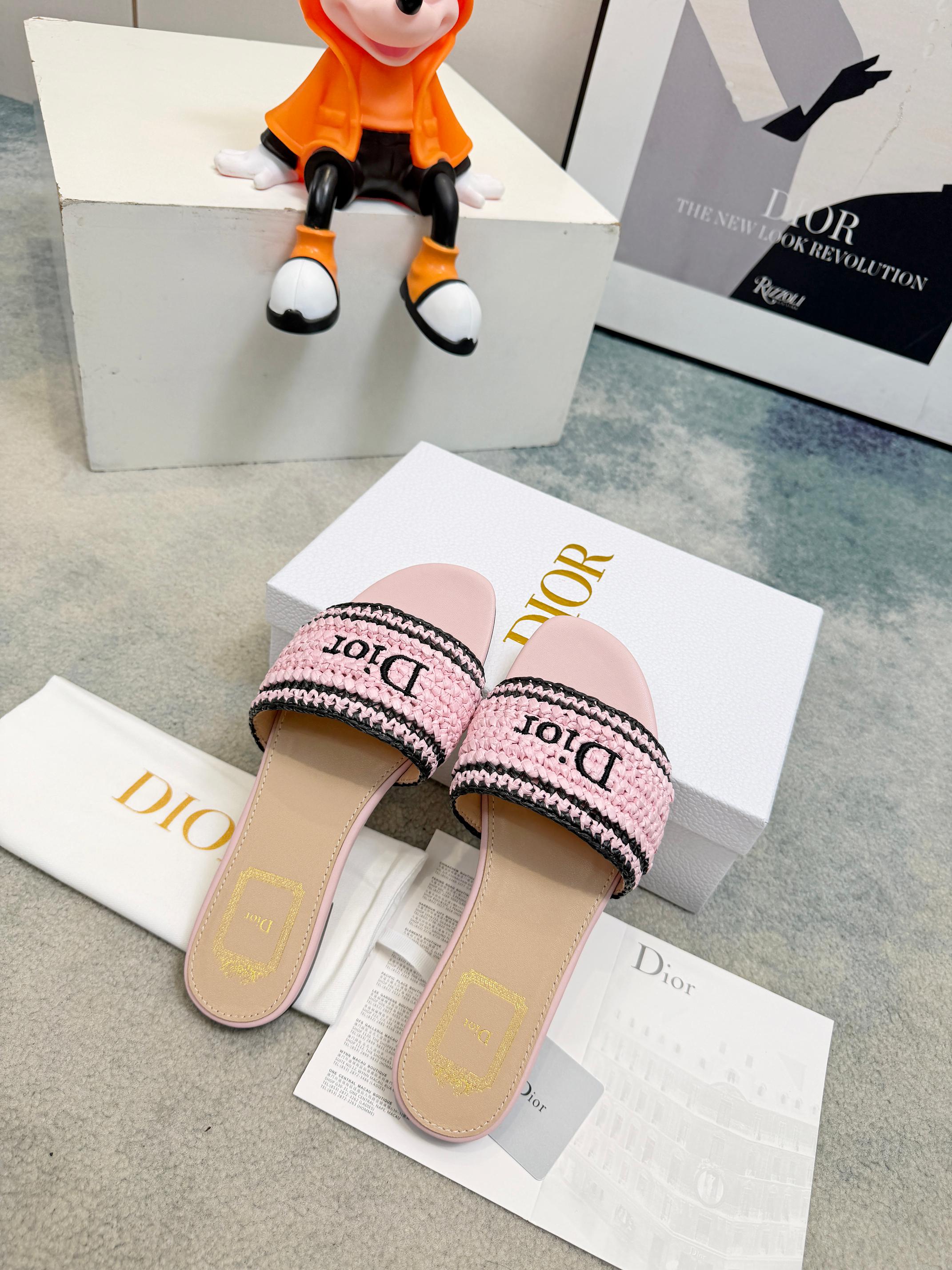 Dior Slides