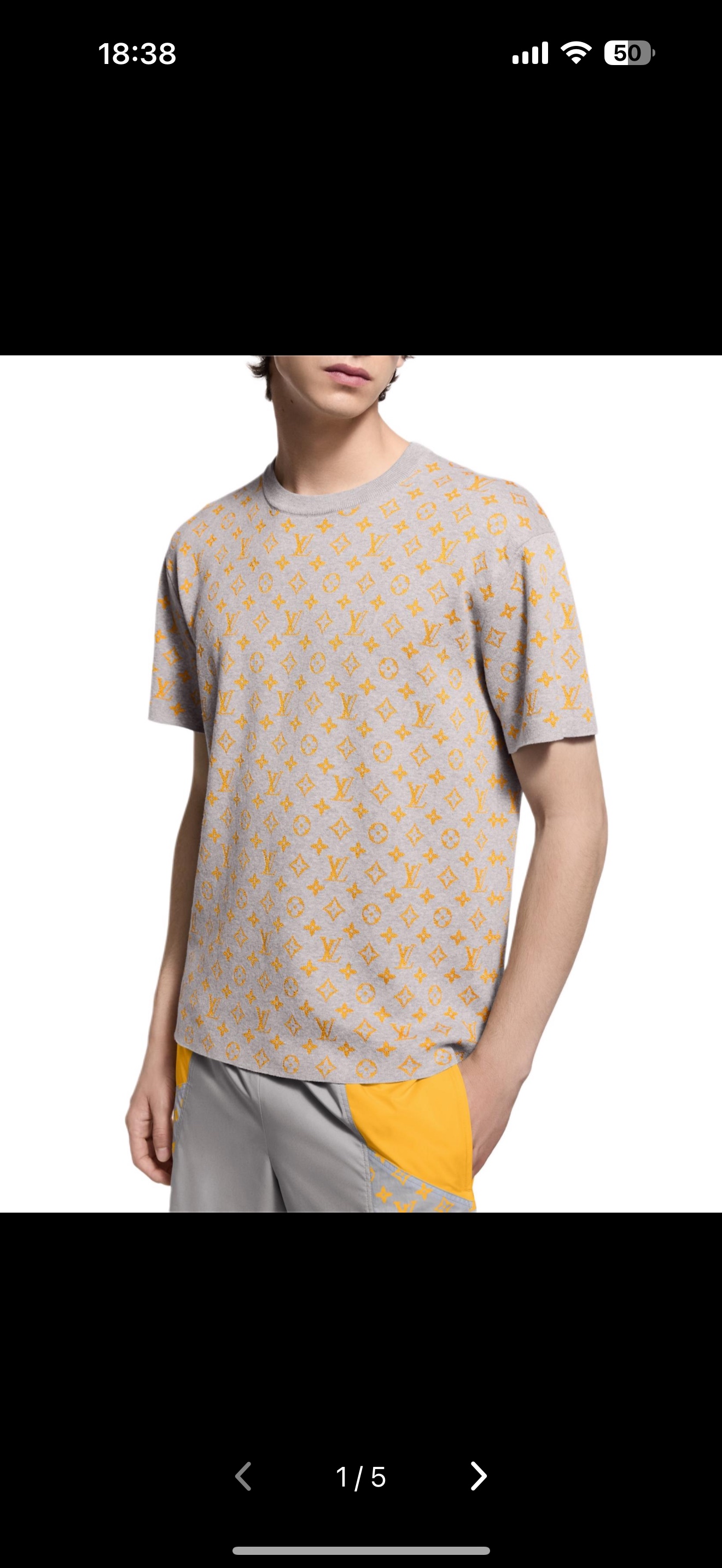 238💰（编号101）
LOUIS VUITTON 字母短袖圆领T恤 灰色 LV满印花卉针织圆领短袖
男女同款