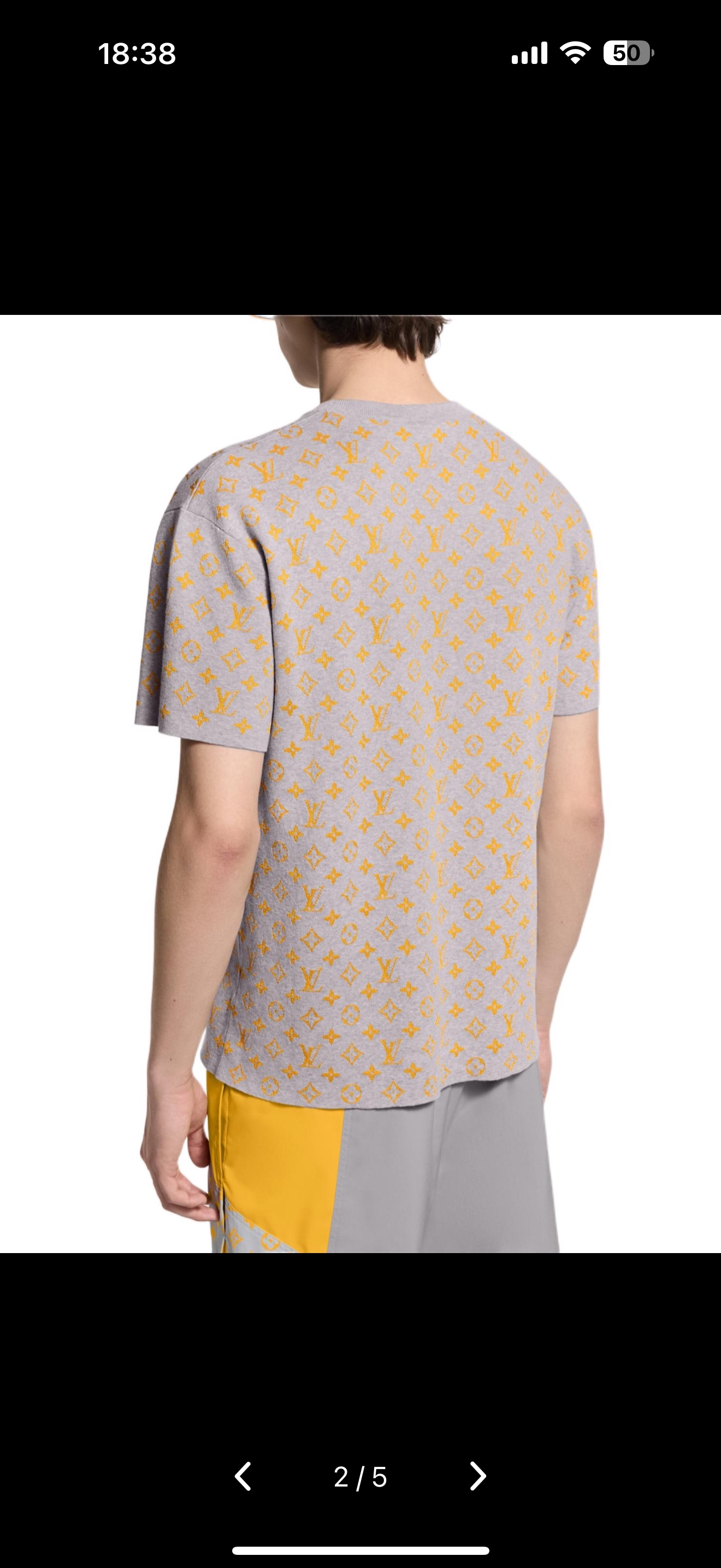 238💰（编号101）
LOUIS VUITTON 字母短袖圆领T恤 灰色 LV满印花卉针织圆领短袖
男女同款