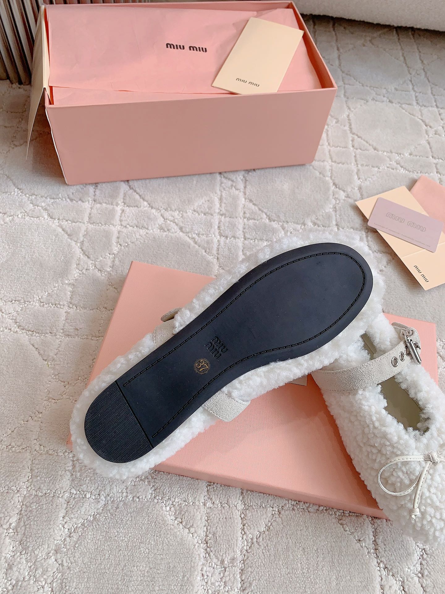 “725 Plant Care Tips & Miu’s Hairy Shoes for Fall/Winter Fashion” - 图片 9