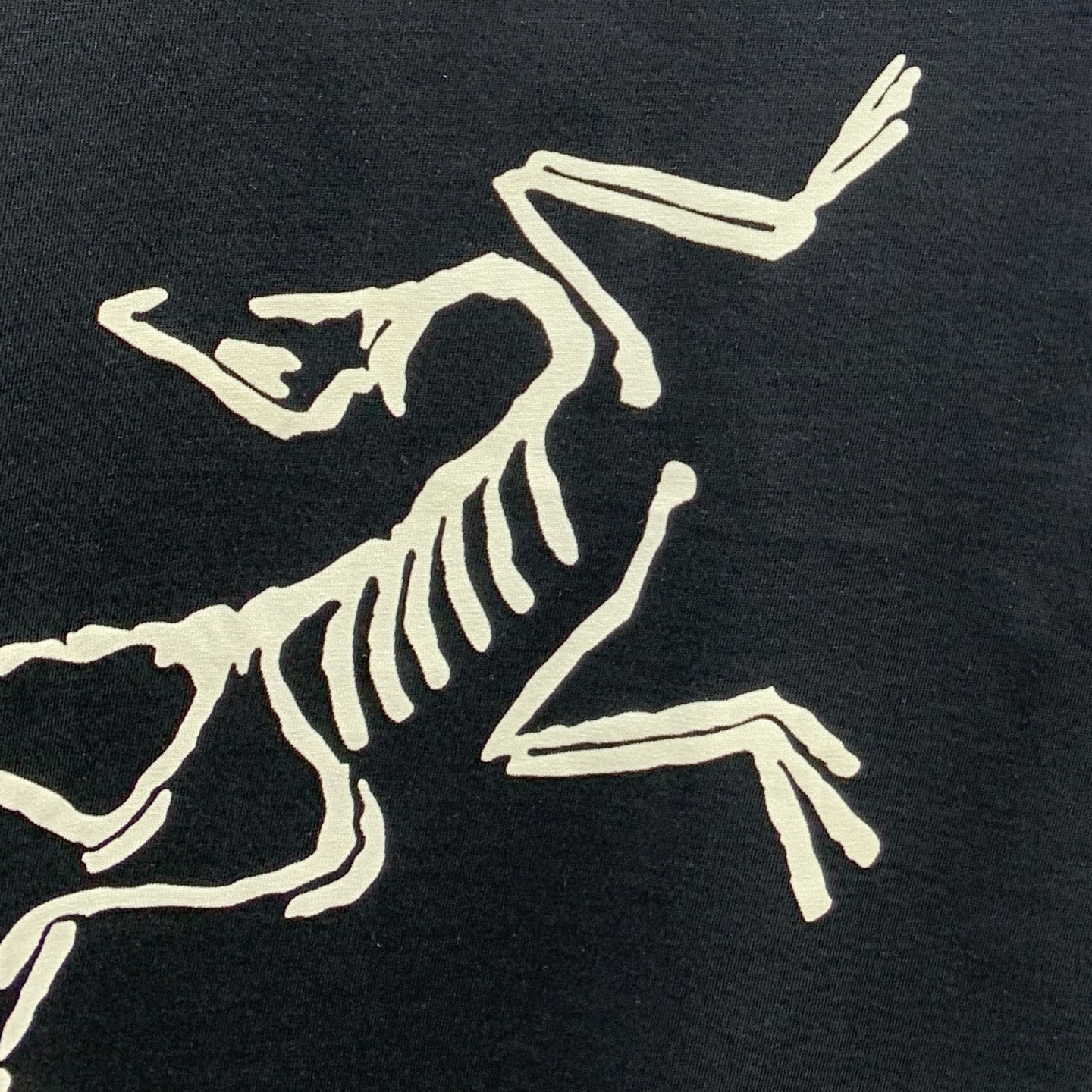 P始祖鸟2025夏季新款短袖T恤，个性艺术系列全网独家首发 百搭款细节处理完美纯棉面料十分精致 原版面料