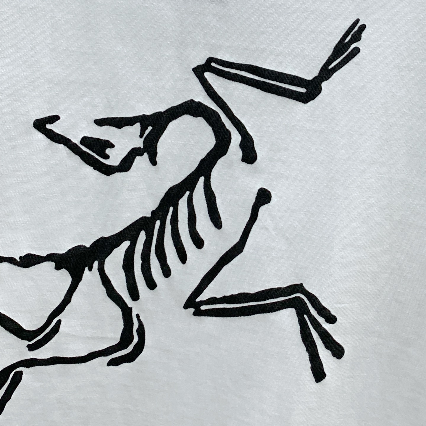 P始祖鸟2025夏季新款短袖T恤，个性艺术系列全网独家首发 百搭款细节处理完美纯棉面料十分精致 原版面料