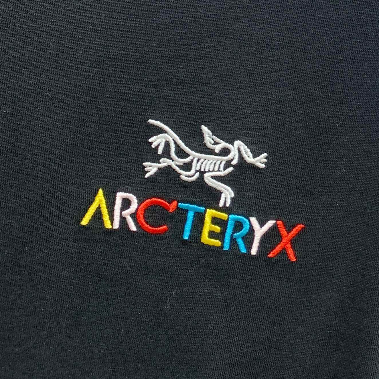 P始祖鸟2025夏季新款短袖T恤，个性艺术系列全网独家首发 百搭款细节处理完美纯棉面料十分精致 原版面料