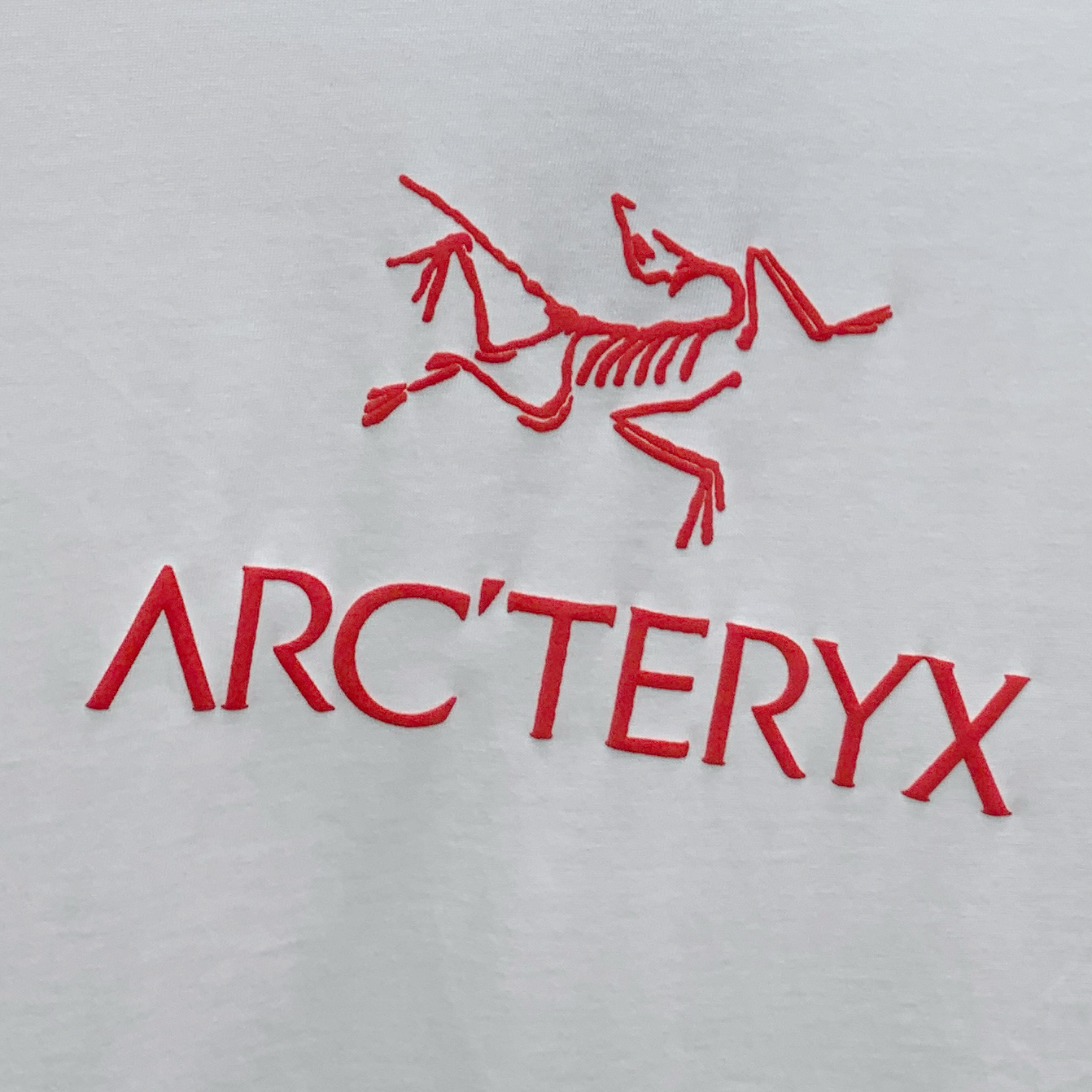 Arc'teryx Summer Short Sleeve T-Shirt: Unique Art Series - Black, White, M-3XL 7 i1749359158445 3559 0 5