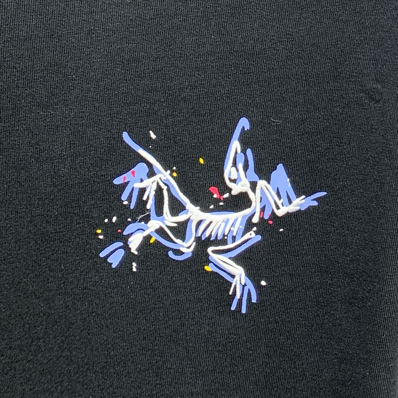 P始祖鸟2025夏季新款短袖T恤，个性艺术系列全网独家首发 百搭款细节处理完美纯棉面料十分精致 原版面料