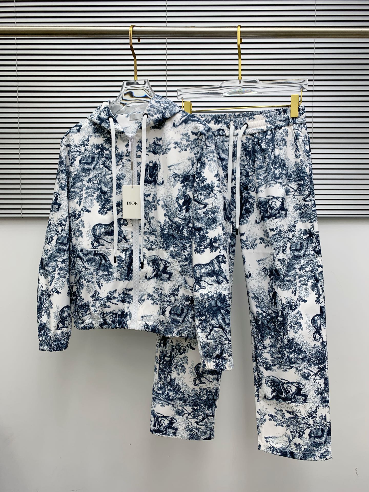 Dior 2025 Fall/Winter Toile de Jouy Printed Hoodie and Pants Set 2 i1756398071520 9968 0 0