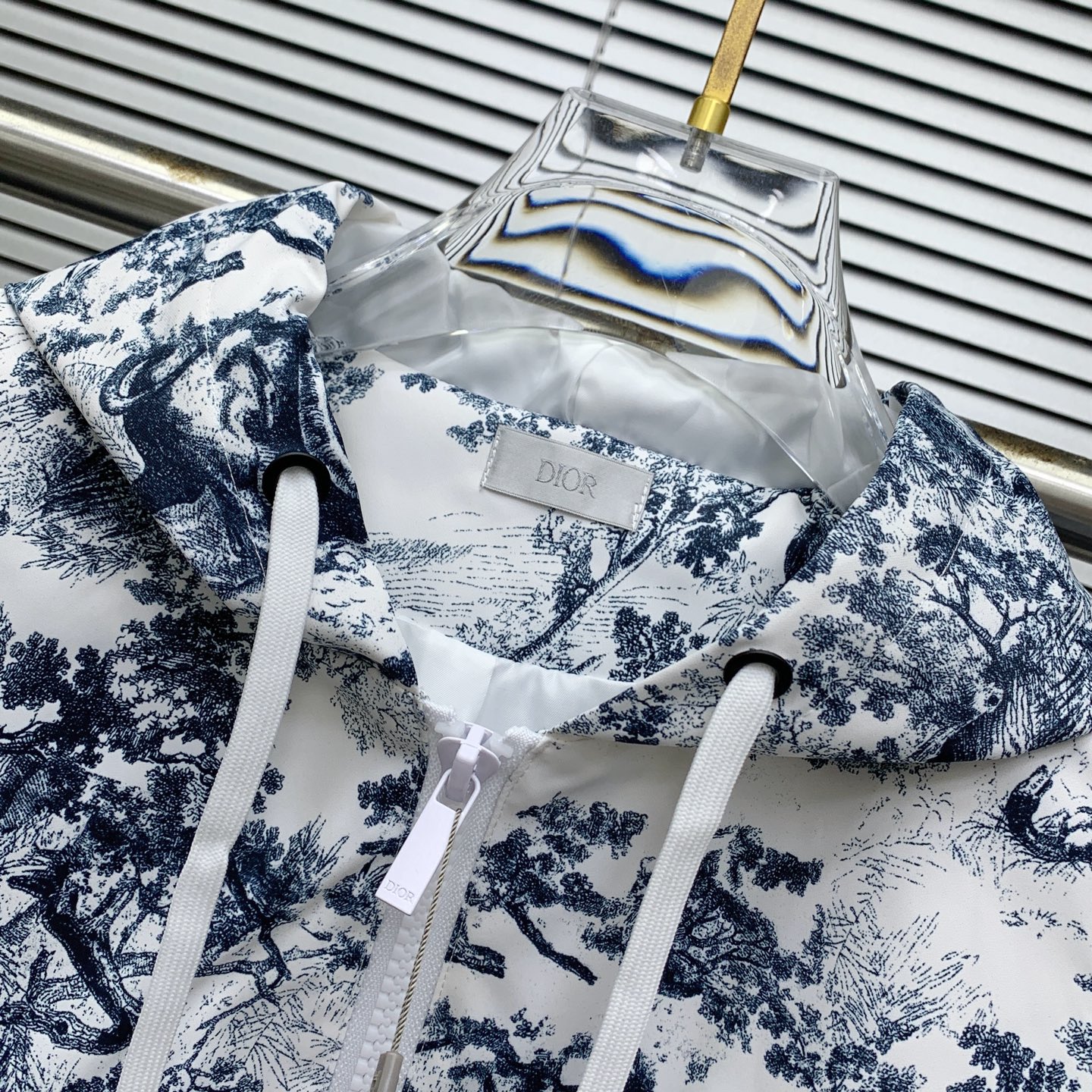 Dior 2025 Fall/Winter Toile de Jouy Printed Hoodie and Pants Set 5 i1756398071530 3595 0 3