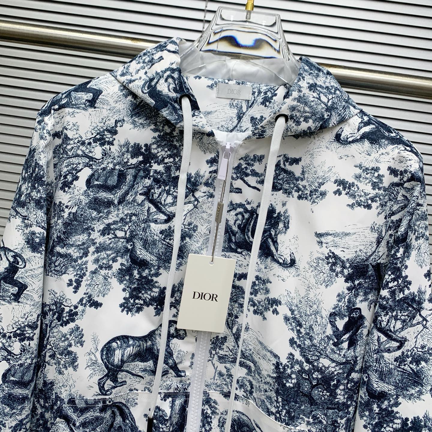 Dior 2025 Fall/Winter Toile de Jouy Printed Hoodie and Pants Set 4 i1756398074108 5476 0 2