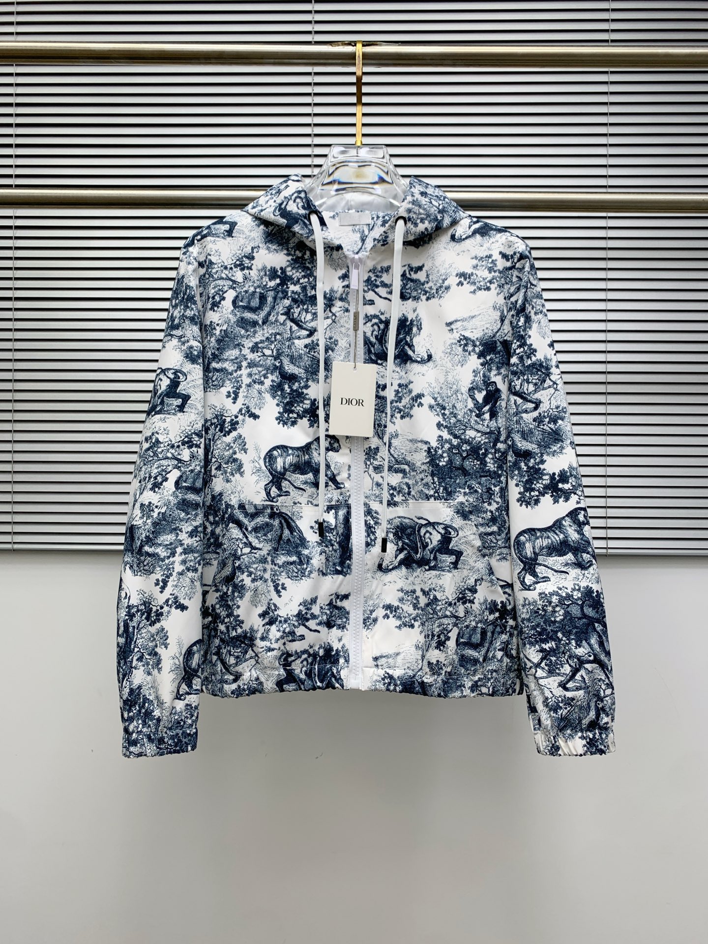 Dior 2025 Fall/Winter Toile de Jouy Printed Hoodie and Pants Set 3 i1756398074150 1076 0 1