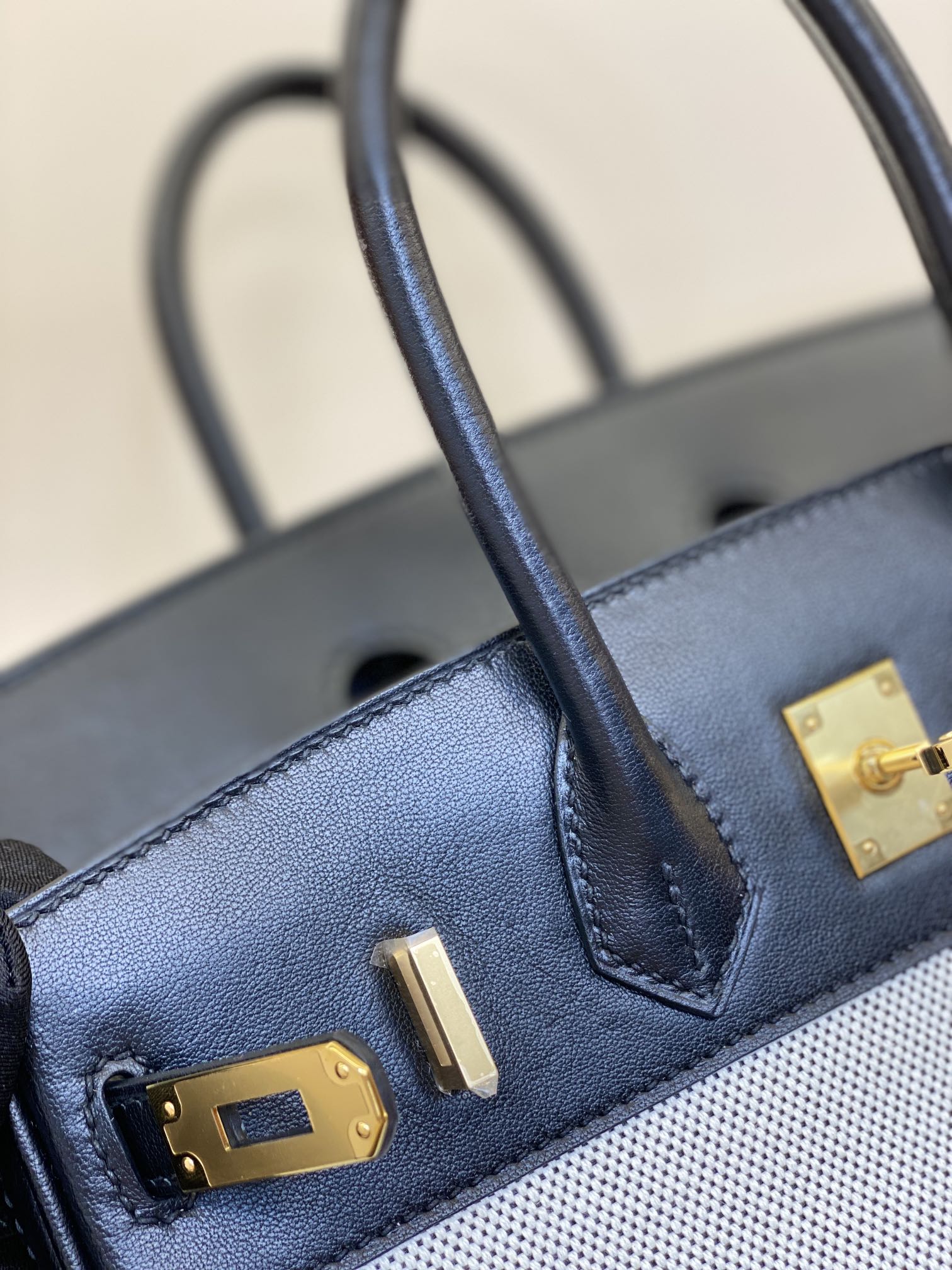 Birkin 25/30cm Black Swift Leather & Canvas Tote Bag with Gold Hardware 8 i1730254936 6234 6