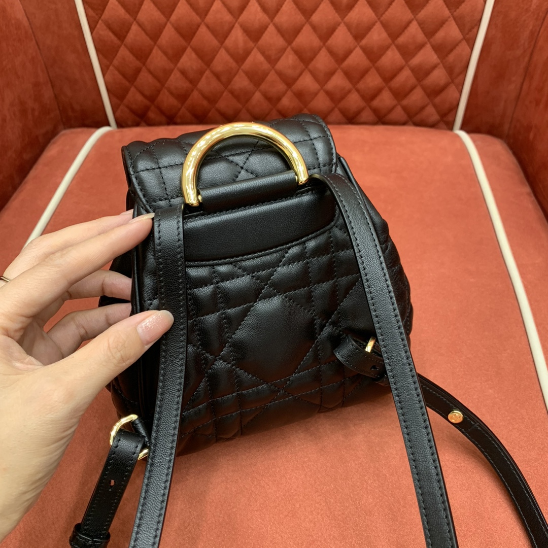 디올 카로 램스킨 백팩 스몰 블랙 상세 이미지 4
