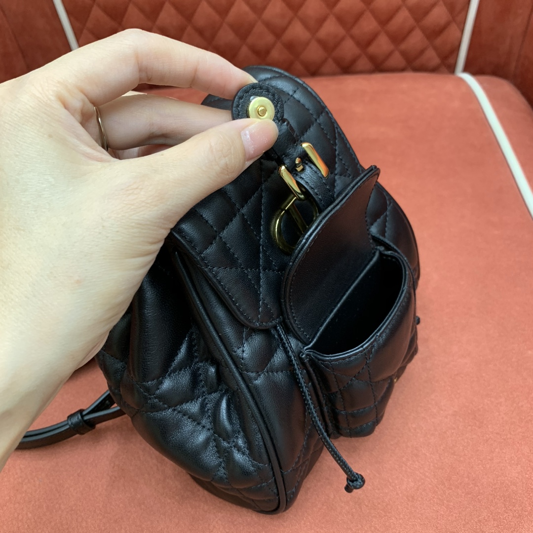 디올 카로 램스킨 백팩 스몰 블랙 상세 이미지 9