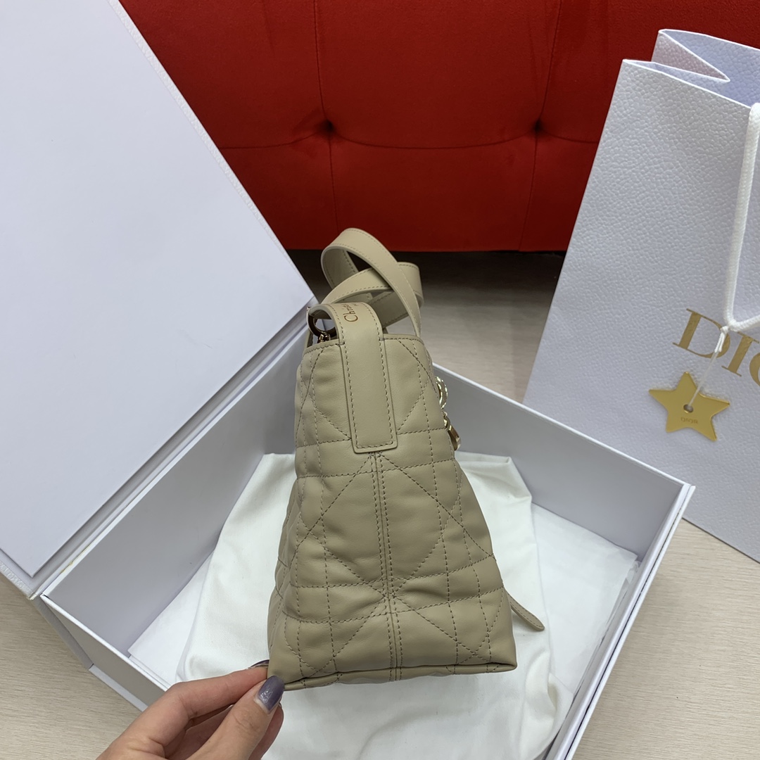 디올 트루줄 버티컬 스몰 소가죽 가방 상세 이미지 2