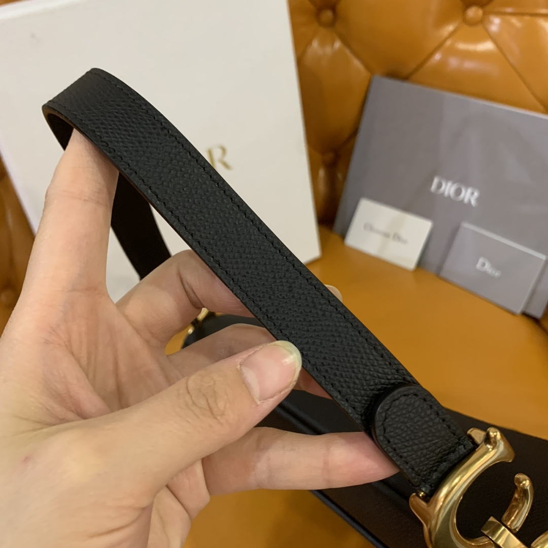 디올 새들백 가방 상세 이미지 5