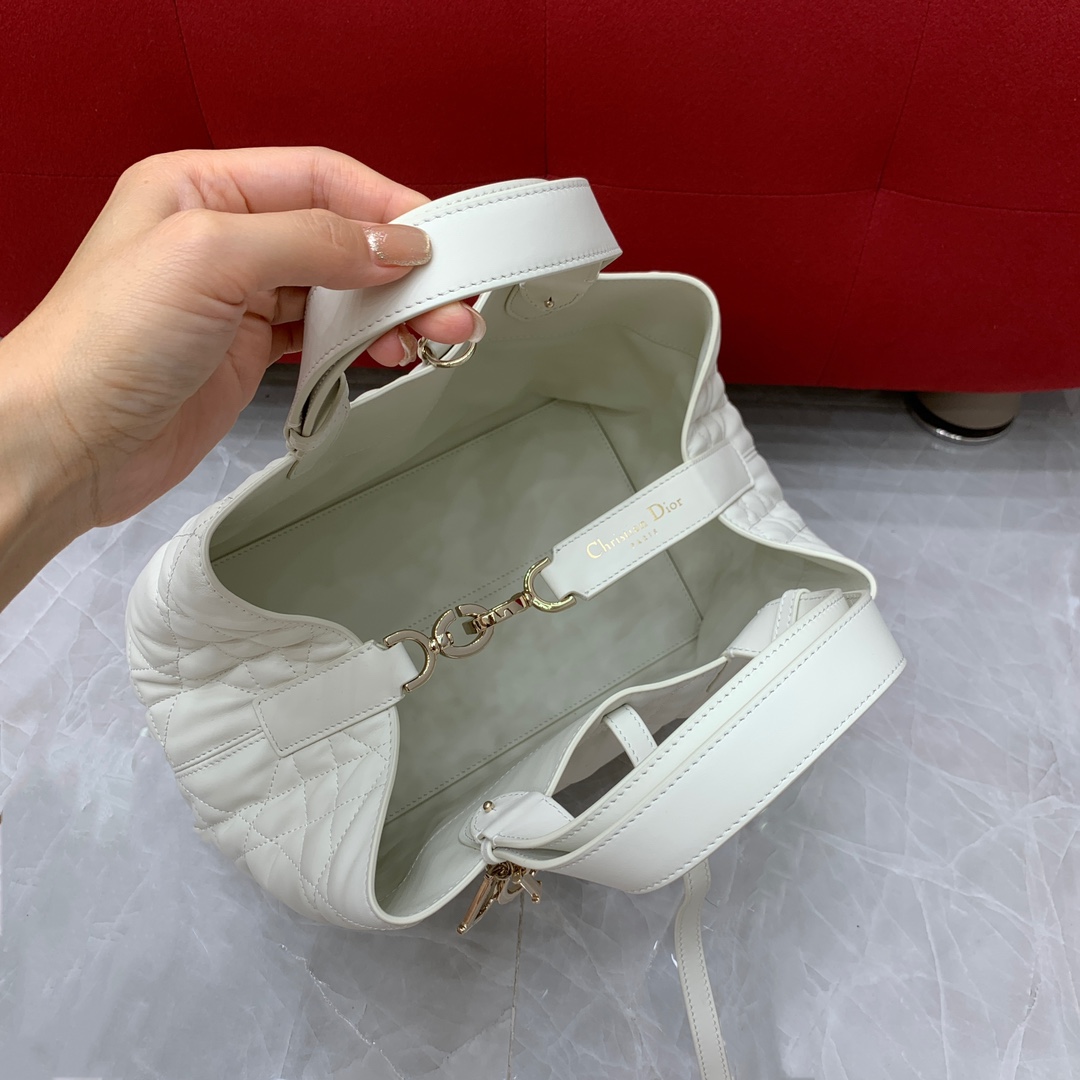 디올 세스트 뉴 버킷백 상세 이미지 6