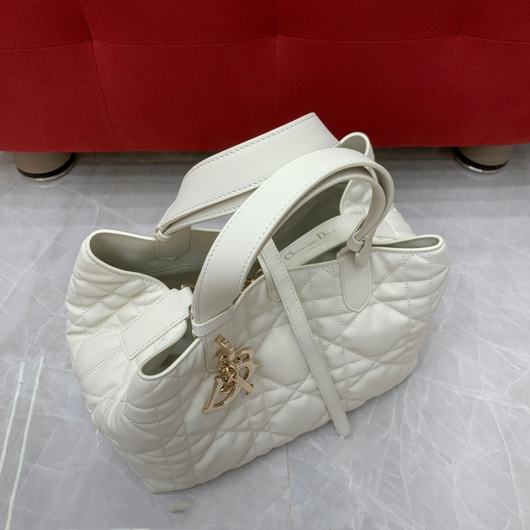 디올 세스트 뉴 버킷백 상세 이미지 5