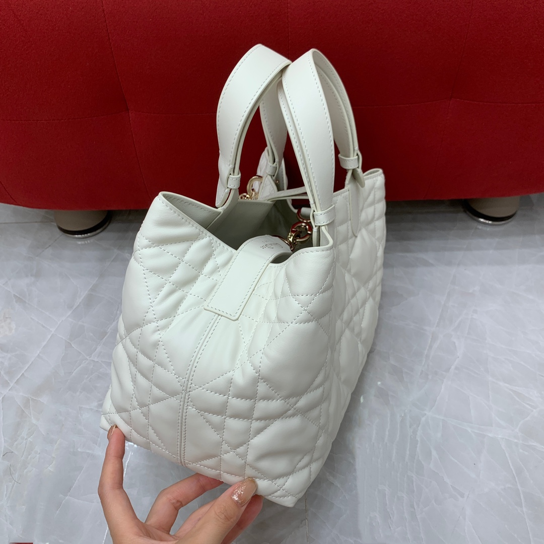디올 세스트 뉴 버킷백 상세 이미지 3