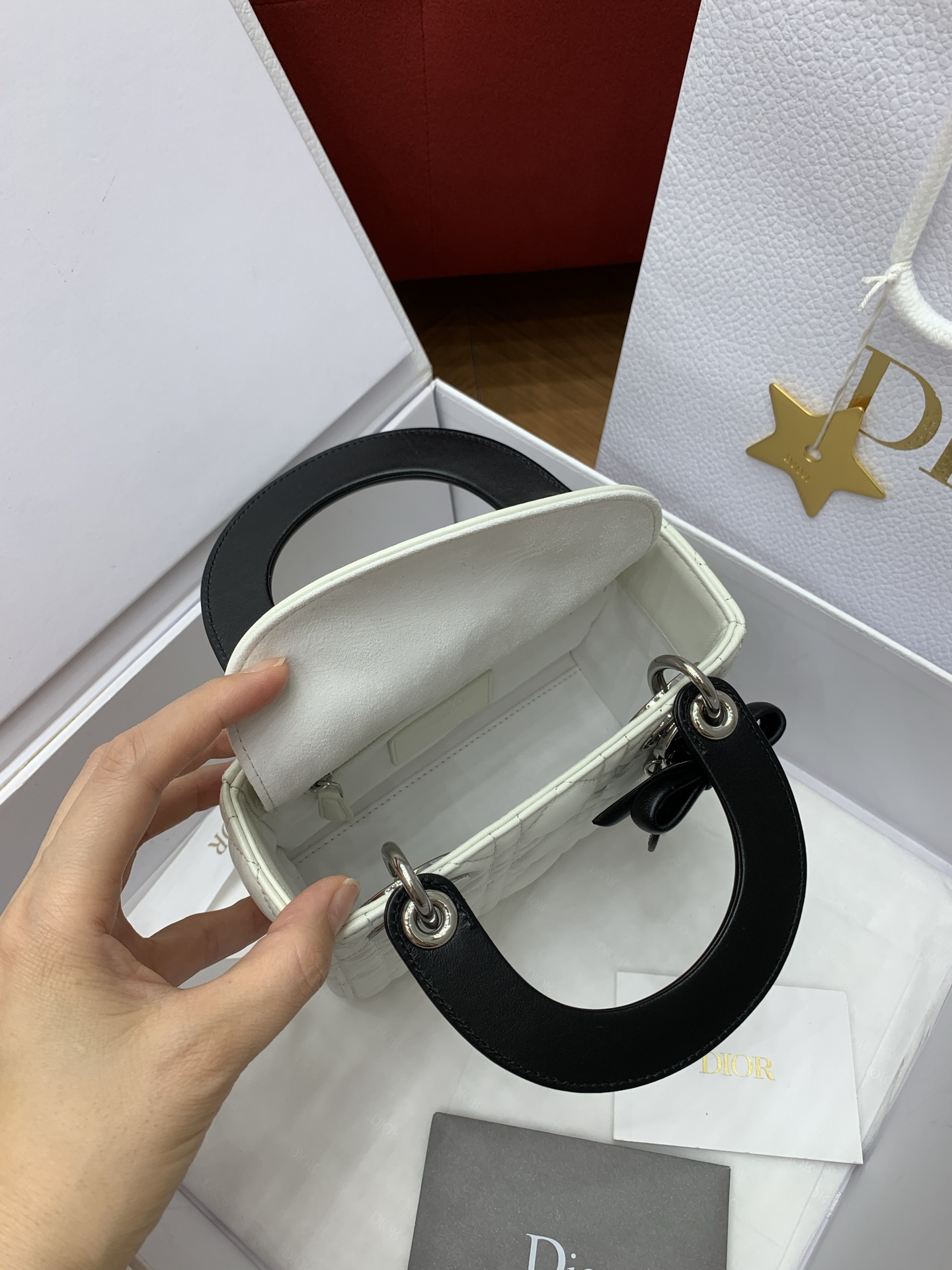 디올 라디 다 미니 보우 램스킨 가방 상세 이미지 7