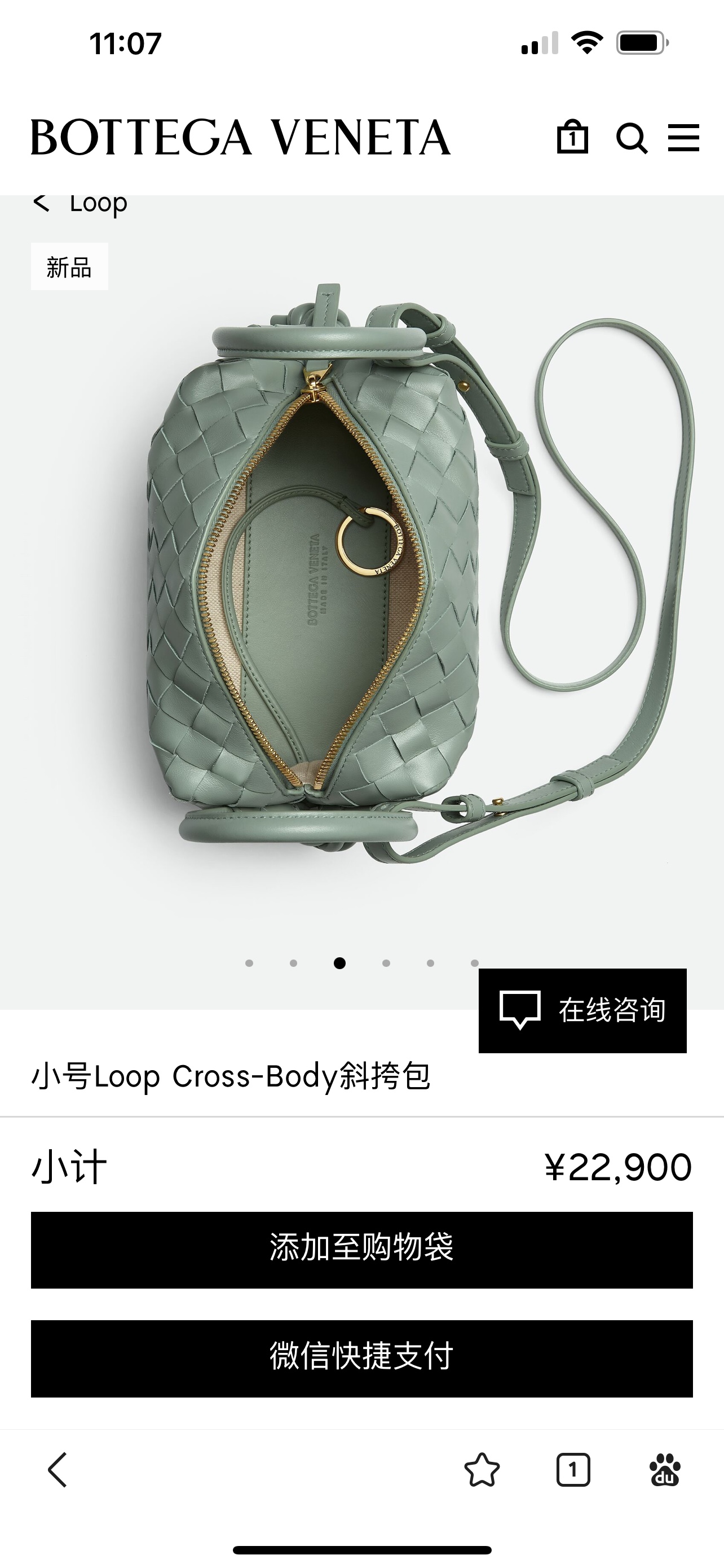 Bottega Veneta Aloe vera green official website picture is on sale for more than 20,000 yuan