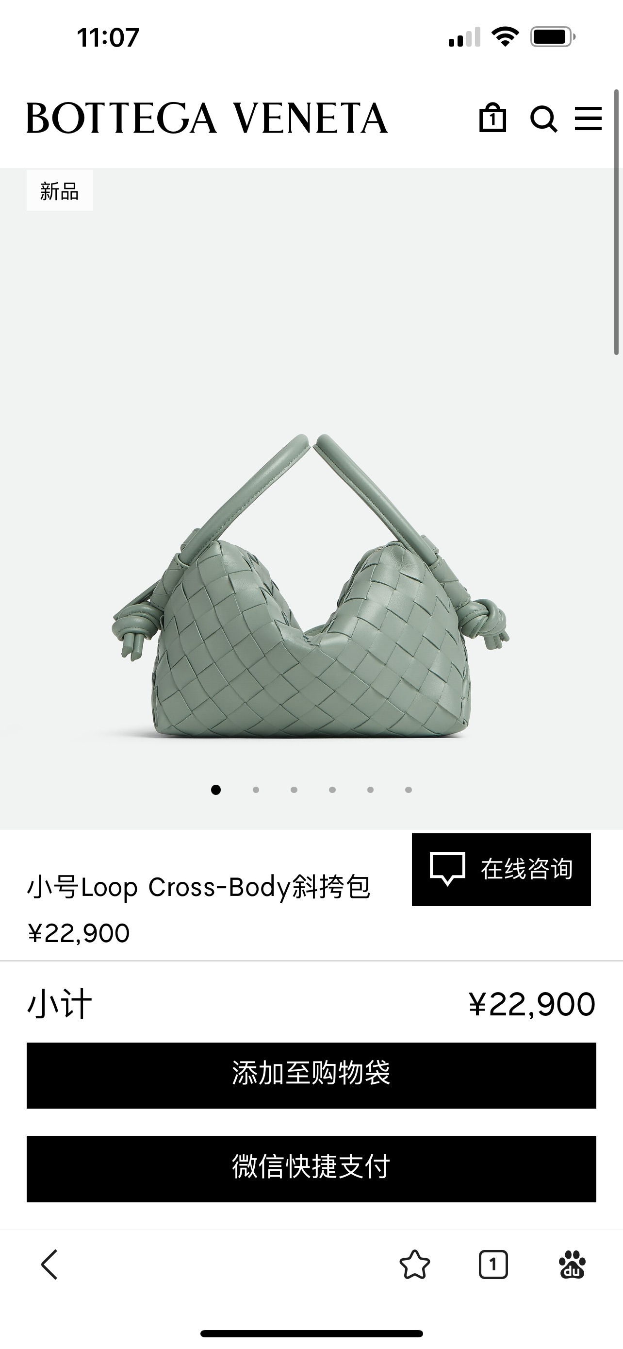Bottega Veneta Aloe vera green official website picture is on sale for more than 20,000 yuan