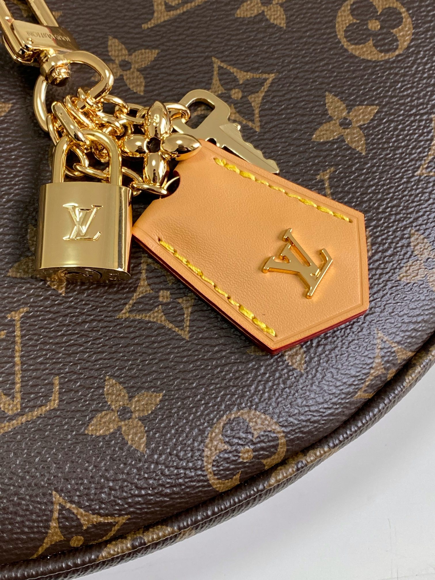 【海原外‬单 独实家‬拍】动态芯片M12939 新款loop hobo 手袋monogram涂层帆布和m
