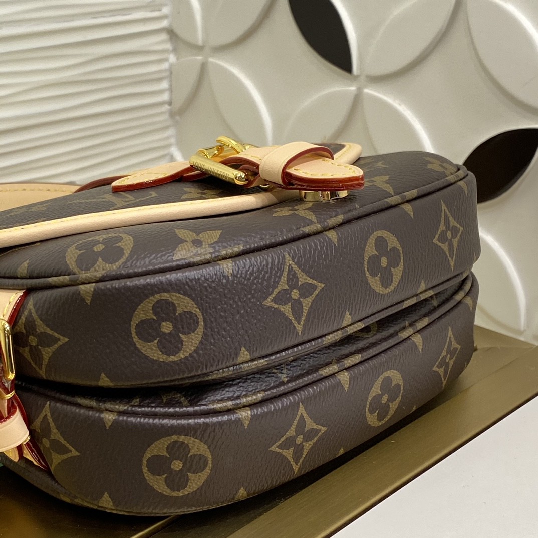 Louis Vuitton M46740 Monogram BB everyday