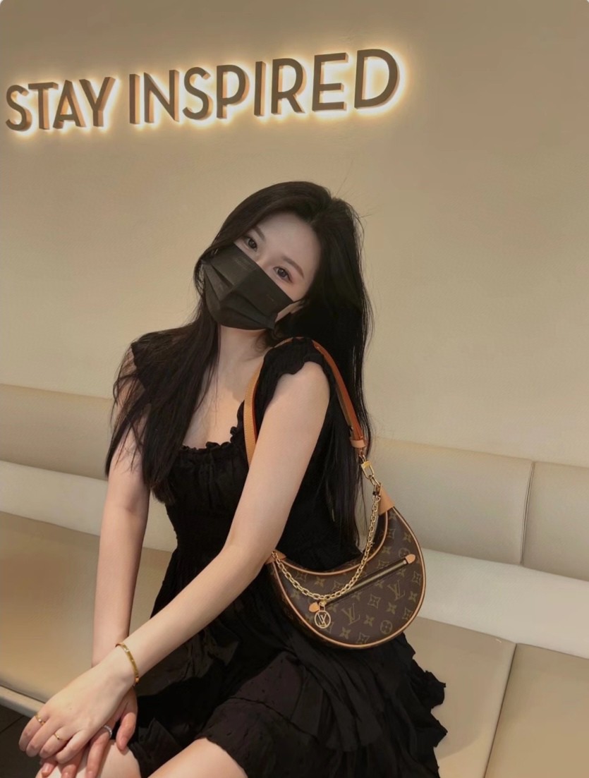 Louis Vuitton Loop Monogram shoulder everyday