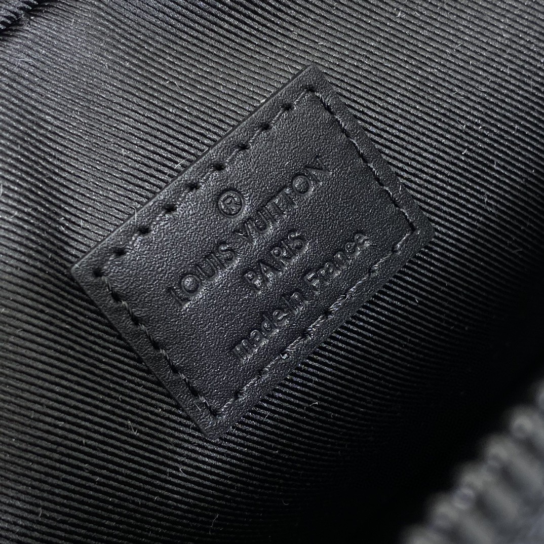 Louis Vuitton Monogram everyday