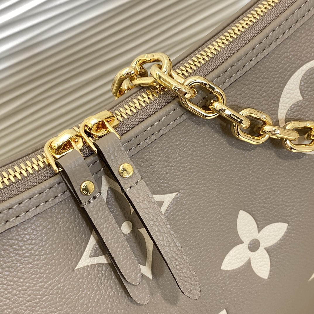 Louis Vuitton Monogram everyday