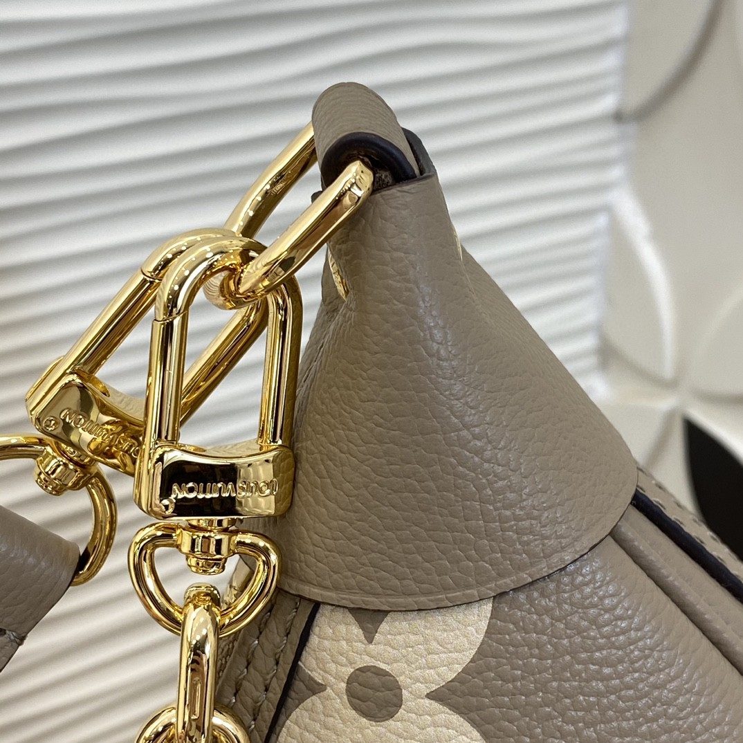 Louis Vuitton Monogram everyday