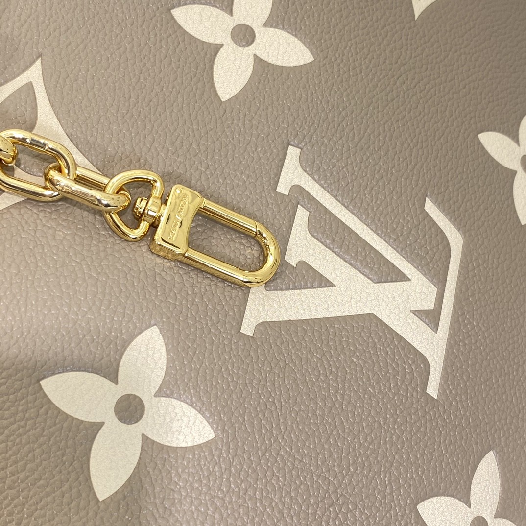 Louis Vuitton Monogram everyday