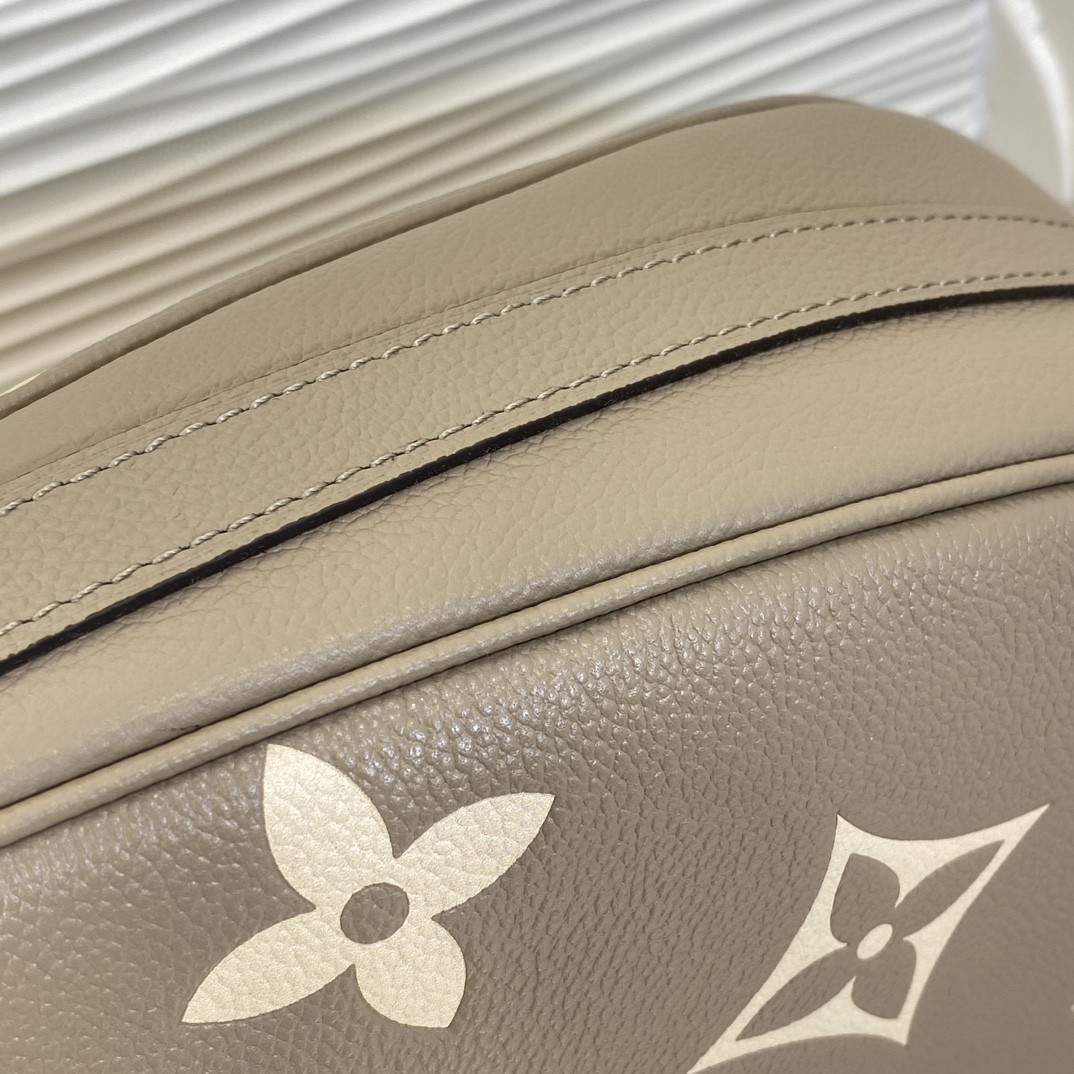 Louis Vuitton Monogram everyday